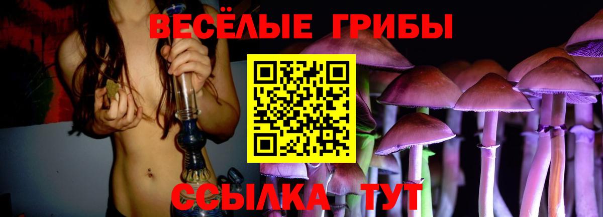 Псилоцибиновые грибы мухоморы Лабытнанги